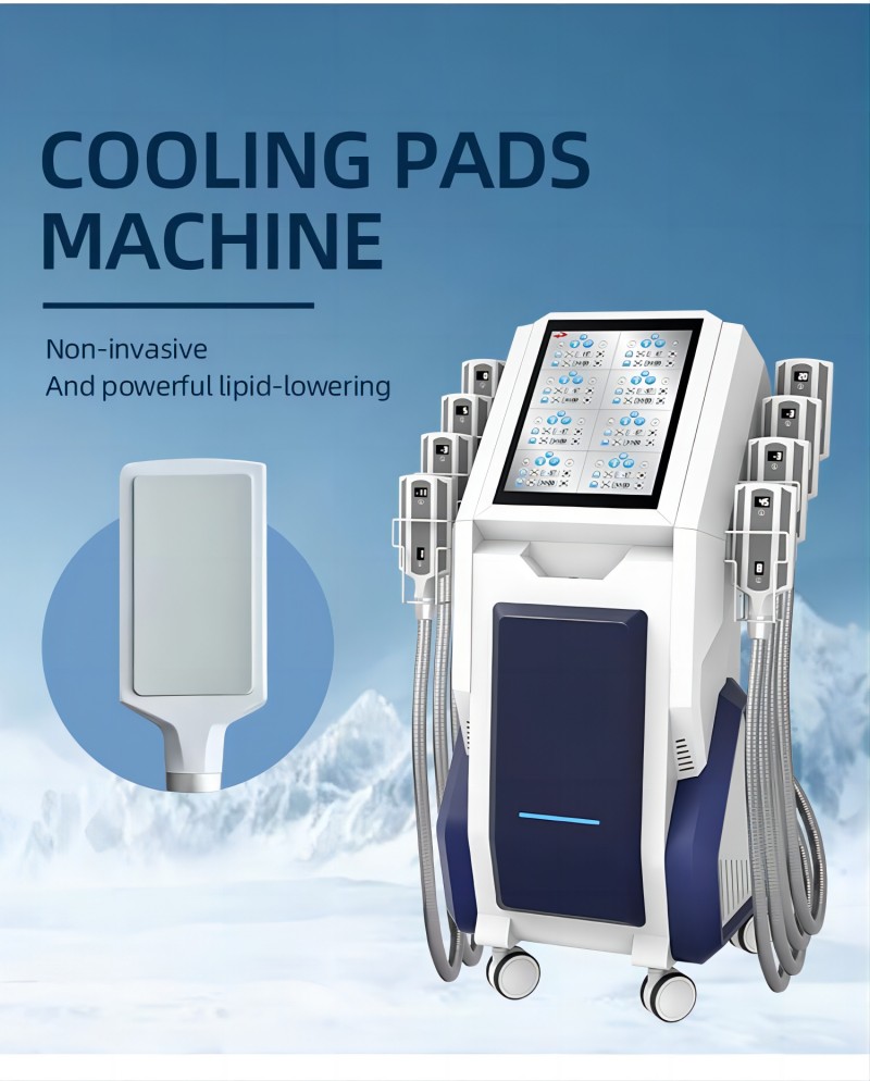 Cellulite Body Slimming Machin - đánh giá và giá Cryolipolysis Fat Freezing Machine