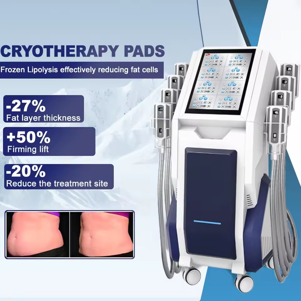 Cellulite Body Slimming Machin - đánh giá và giá Cryolipolysis Fat Freezing Machine